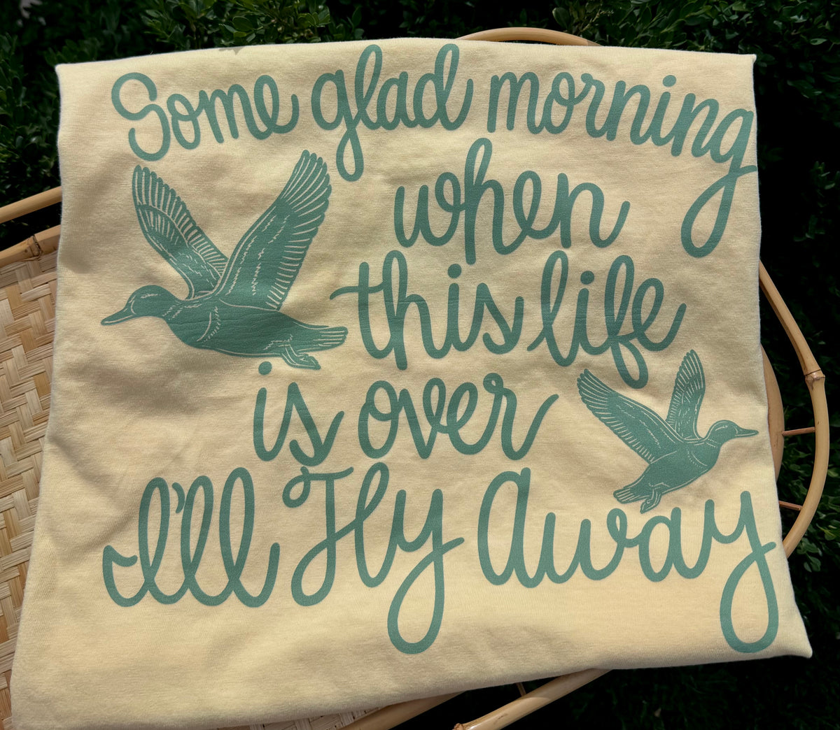 I'LL FLY AWAY